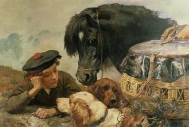 Der Jagdbegleiter